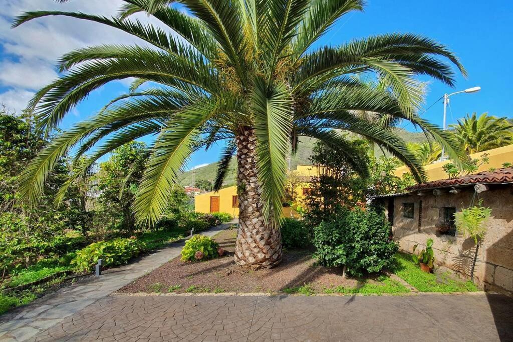 Apartamento Casa emblemática Tegueste Exterior foto